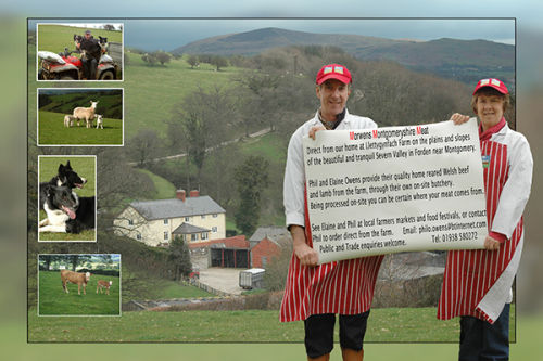 Work commissioned by Llettygynfach Farm, Forden. Welshpool, home of quality beef and lamb.